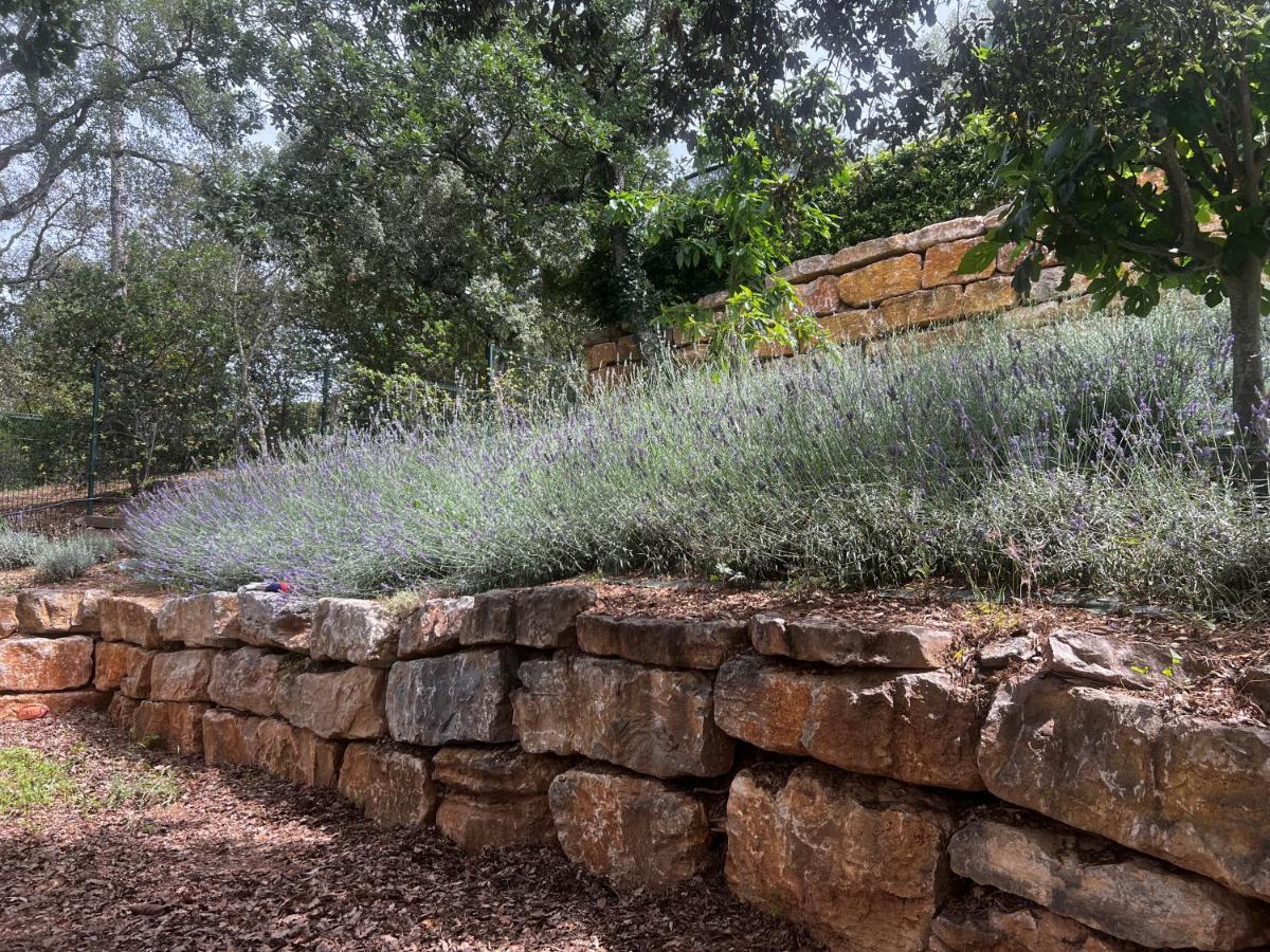 Saint-Raphaël Villa Familiale Avec Vue Imprenable מראה חיצוני תמונה