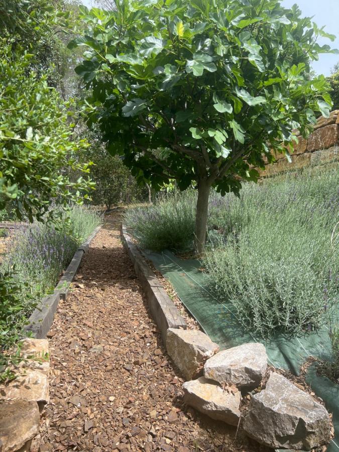 Saint-Raphaël Villa Familiale Avec Vue Imprenable מראה חיצוני תמונה